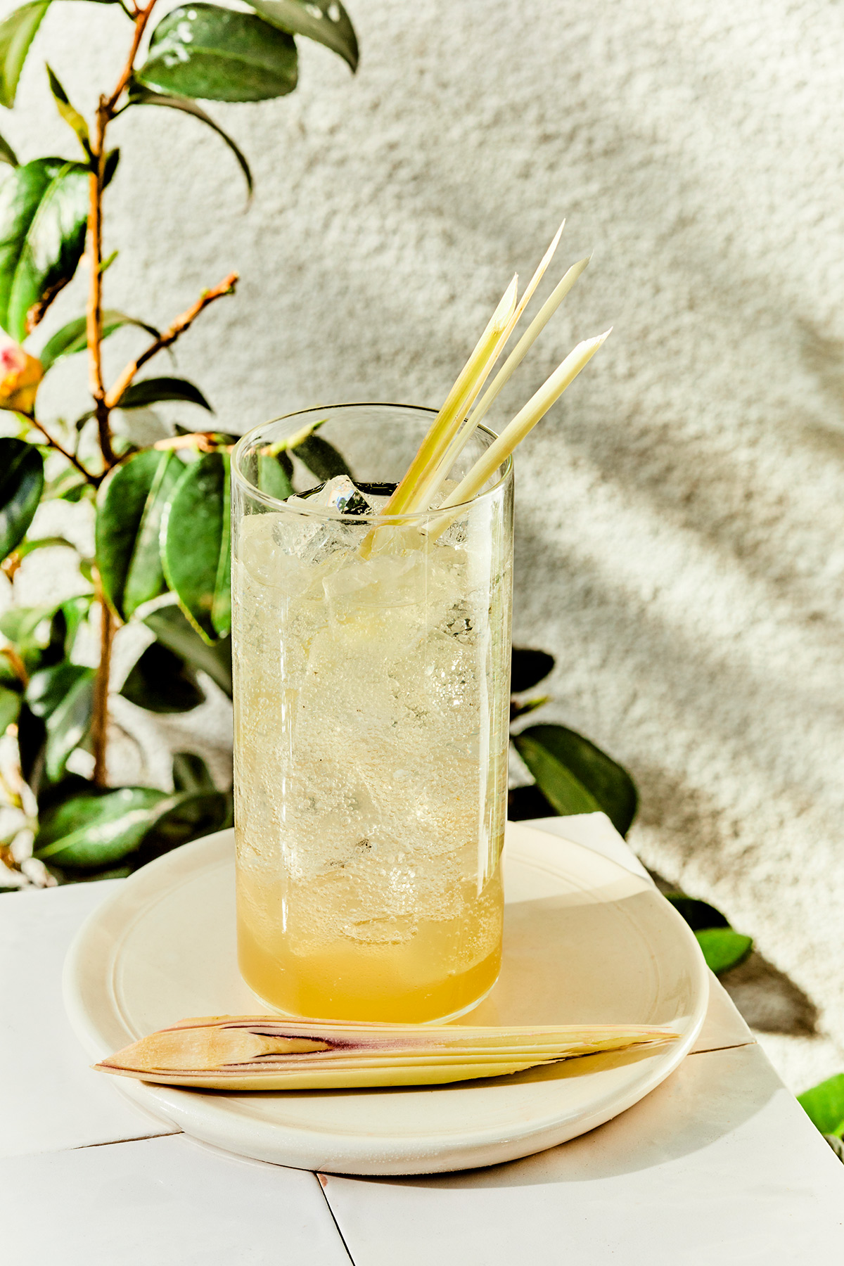 Los Angeles Beverage Photographer